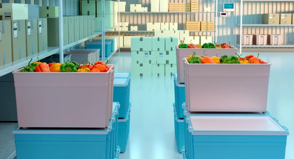 Importance of Choosing the Right Cold Storage Supplier